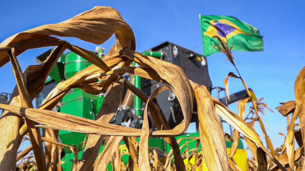 Foto: Best Place | Assessoria Fundação Rio Verde