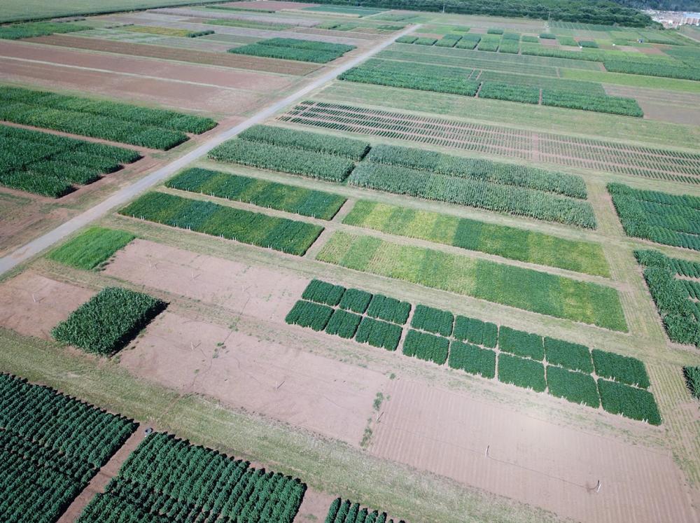 Fotos: Best Place | Assessoria Fundação Rio Verde