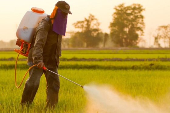 MPT-MT promove reunião do Fórum Estadual de Combate aos Impactos dos Agrotóxicos