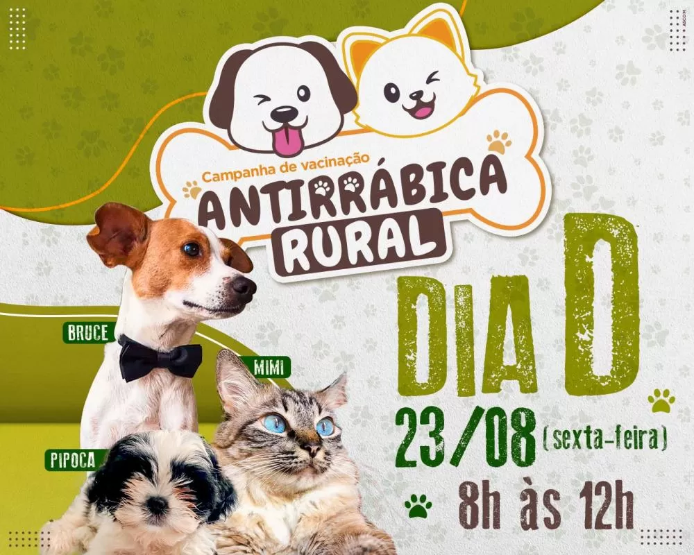 ARTE: Patricia Pires