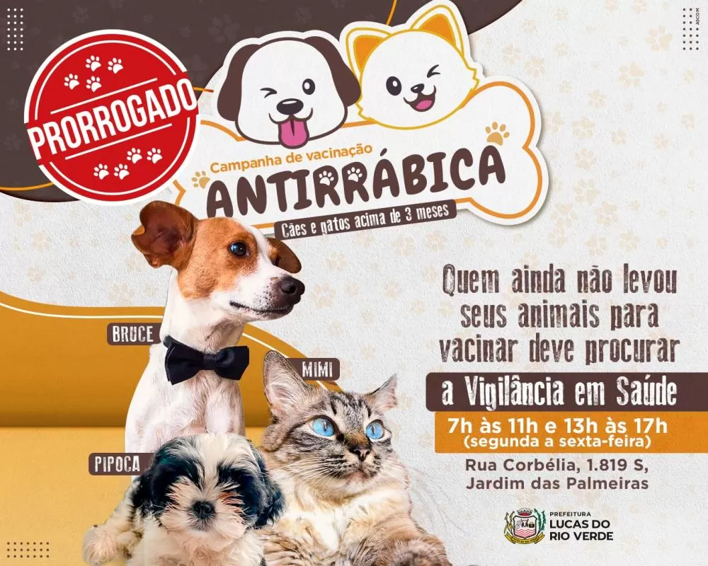 Arte: Patricia Pires