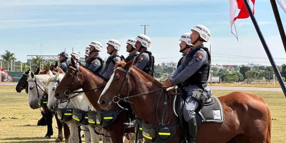 Autor da Foto: Rayam Nicácio | Ascom Câmara