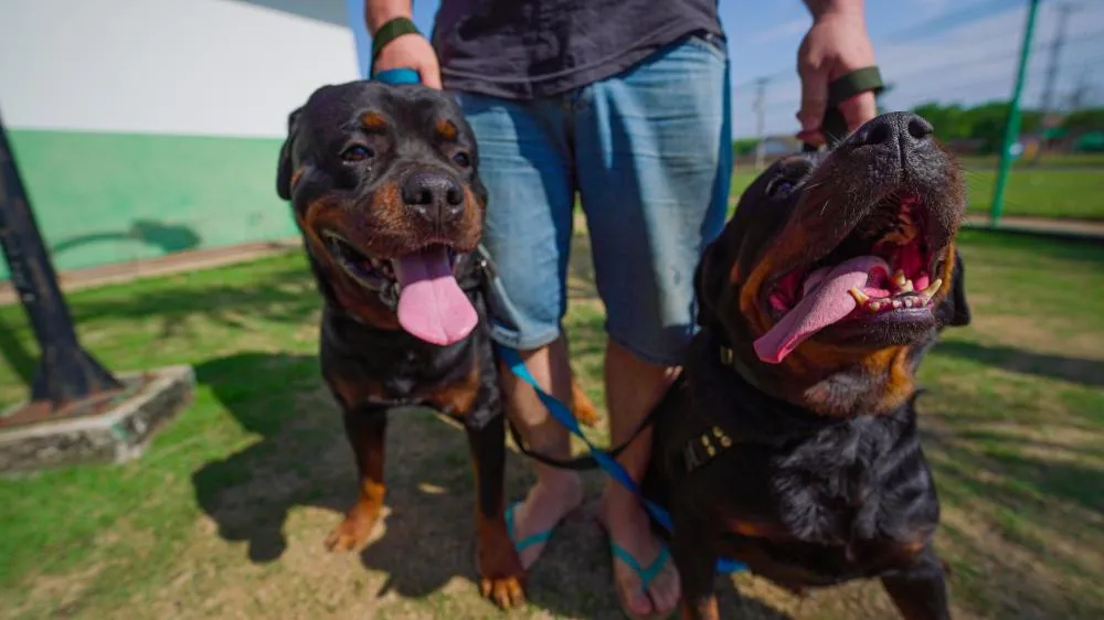 Autor da Foto: Ascom Prefeitura / Arquivo