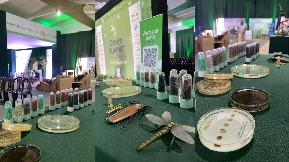 Fundação Rio Verde apresenta laboratórios e projetos no Green Summit MT