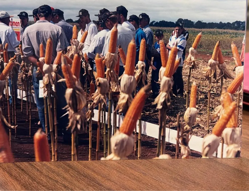 Pesquisas iniciadas em Lucas do Rio Verde viabilizaram a expansão do milho segunda safra no Cerrado brasileiro