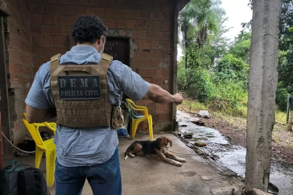 Foto: Polícia Civil