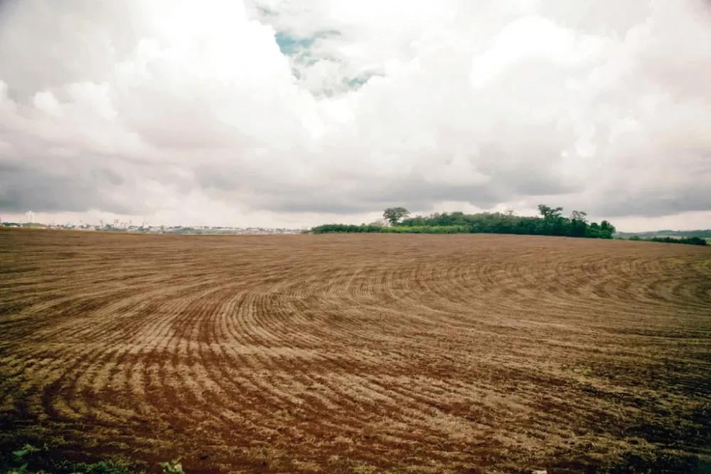 Mato Grosso inicia vazio sanitário da soja e Fundação Rio Verde reforça o controle de pragas