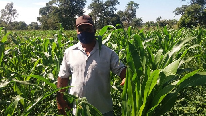 Em 2,5 hectares, horticultor atendido pelo Senar/MS produz 22 toneladas e comercializa R$ 30 mil no ano
