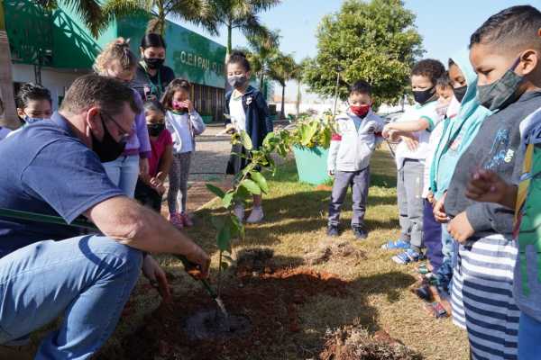 Meio Ambiente ensina crianças de 4 anos a plantar na Semana do Bebê